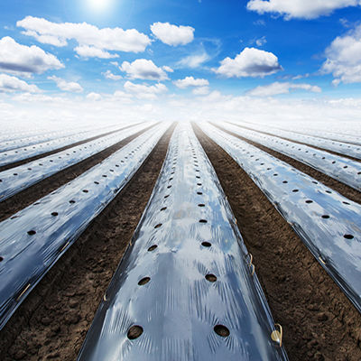 AGRICULTURAL MULCH AND SILAGE FILM